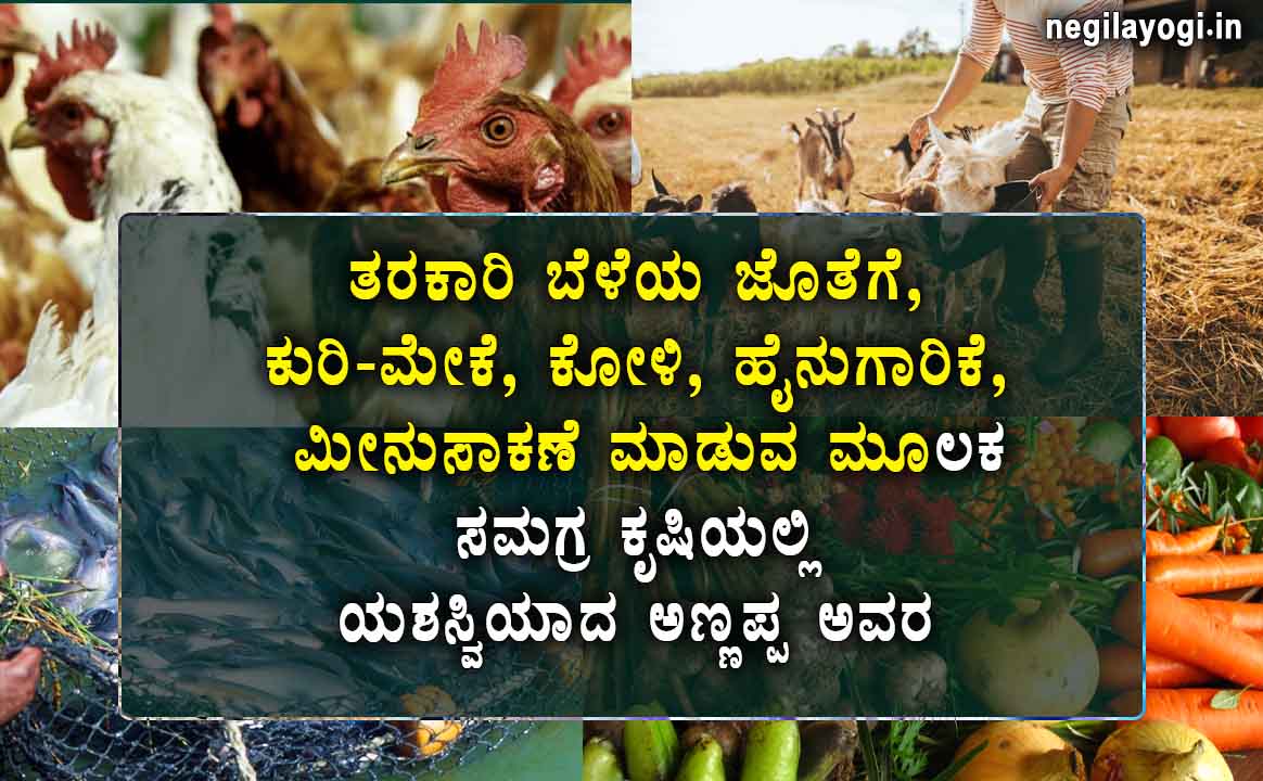 organic farming